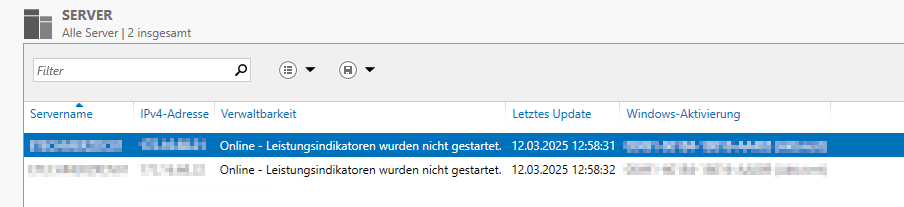 Server Manager nach der Anpassung